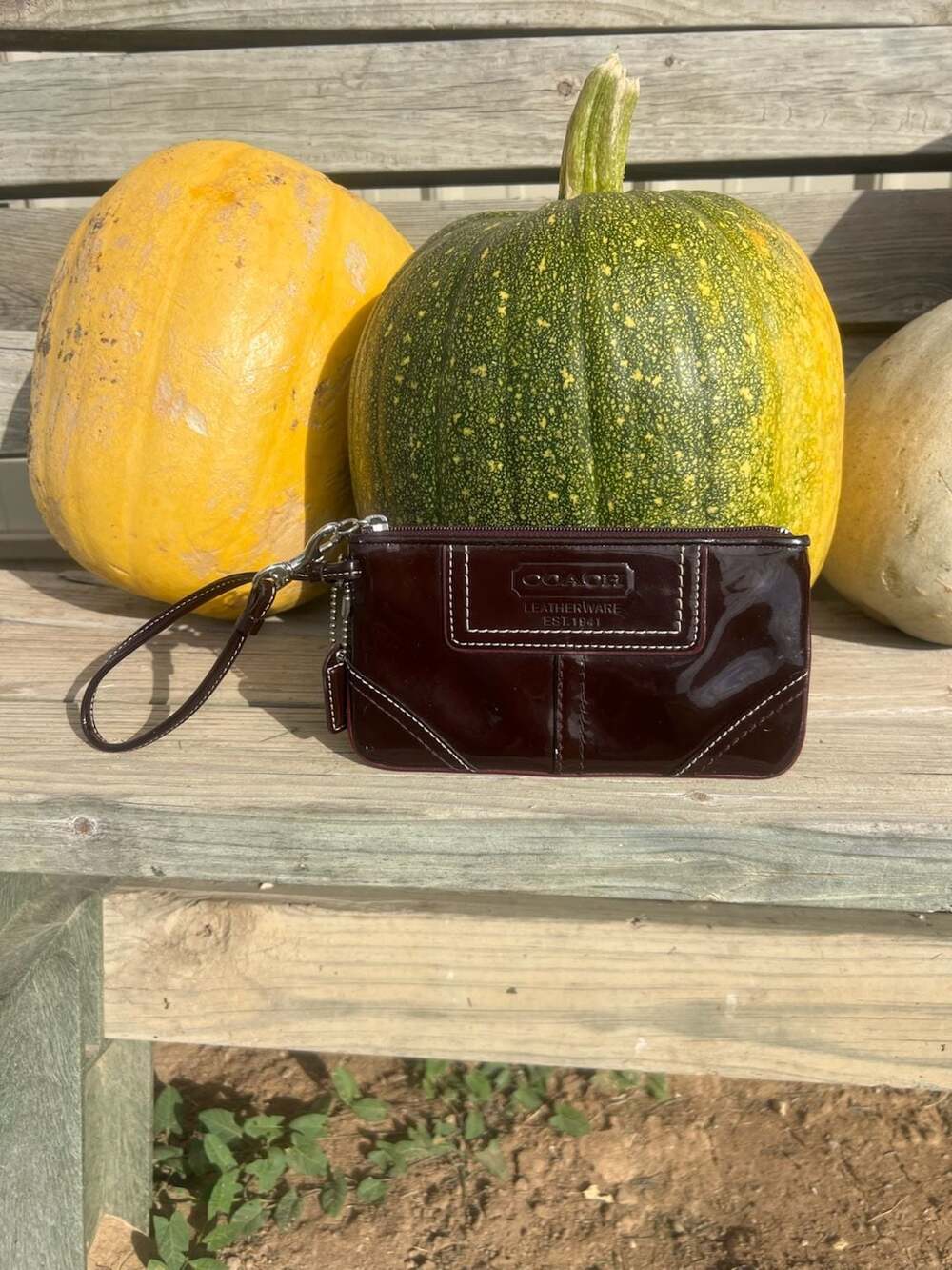 Coach Wristlet Liquid Gloss Brown Wallet Coach Leatherware